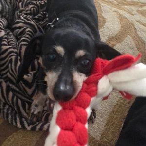 Meet your Posher, Avery